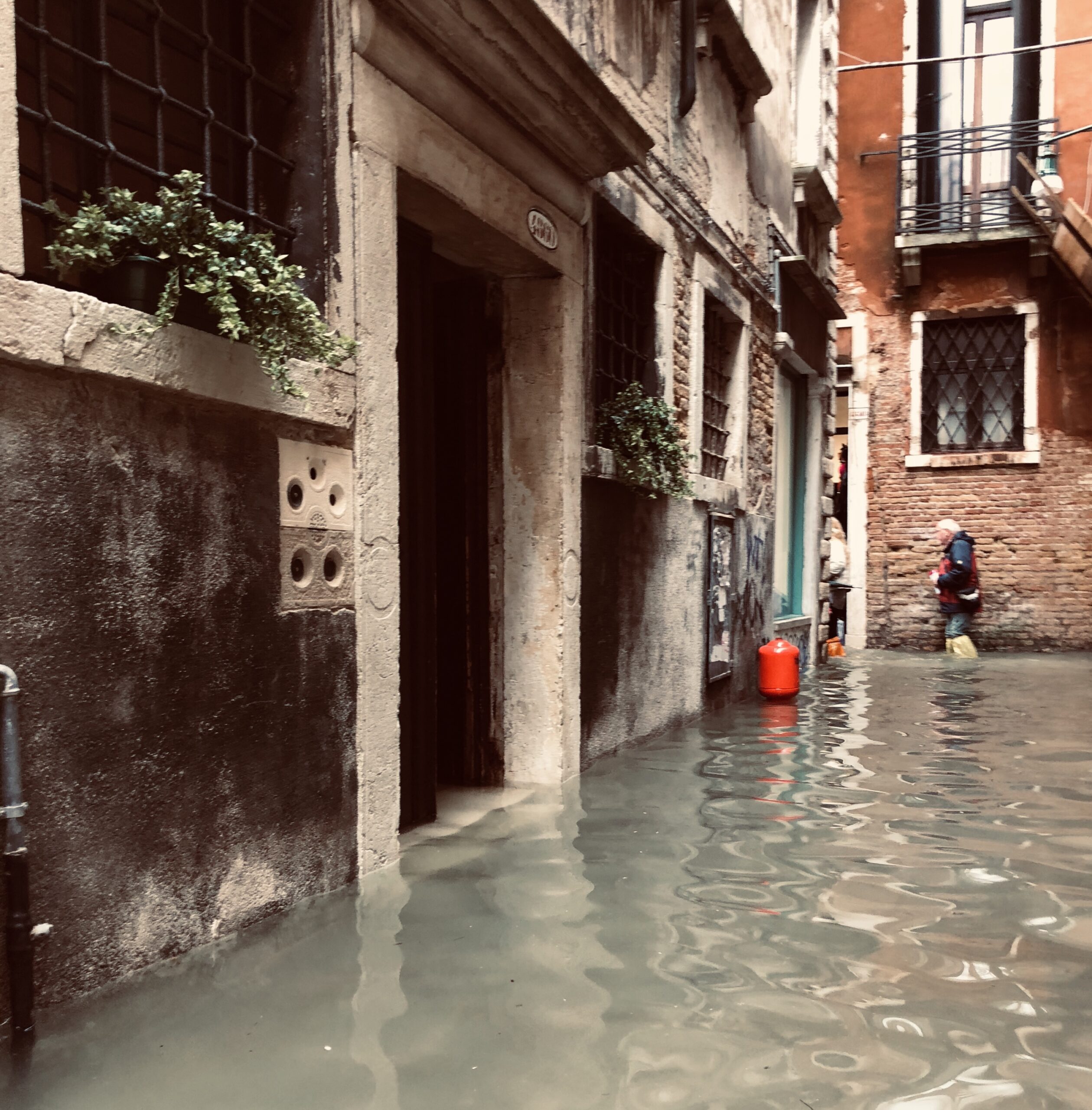 “Acqua alta”, the flooding of Venice