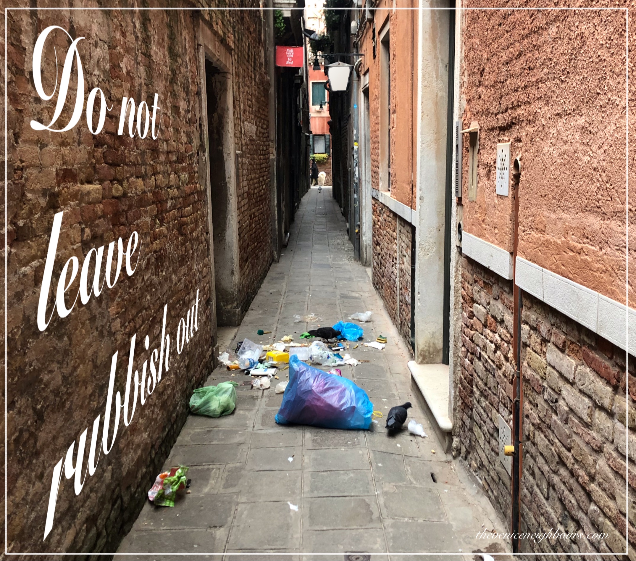 Littering in Venice